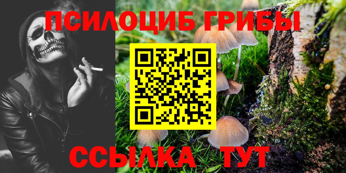Псилоцибиновые грибы мухоморы Кудрово