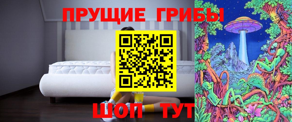 Галлюциногенные грибы GOLDEN TEACHER  Вход с VPN  Кудрово 